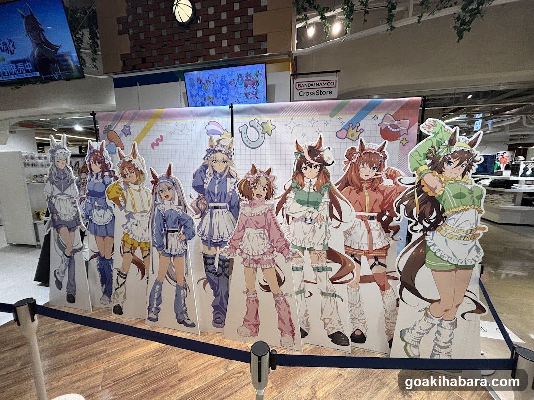 Anime Character Cutout Display