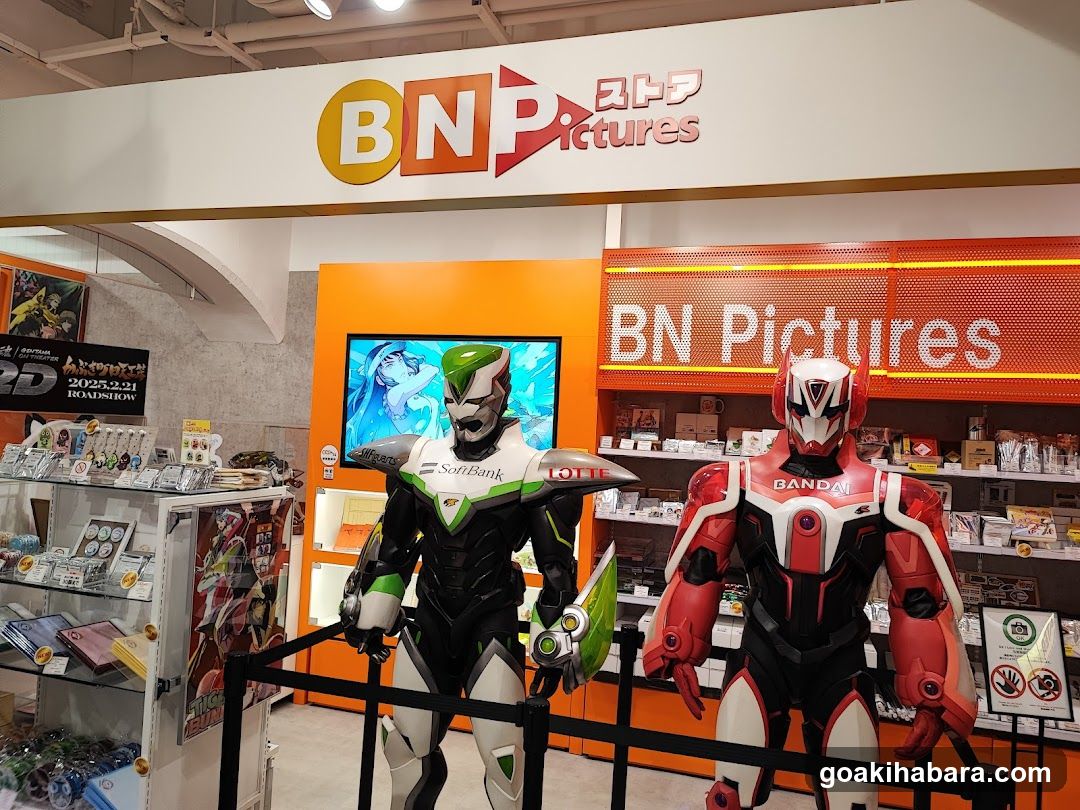 BN Pictures Store Interior Display