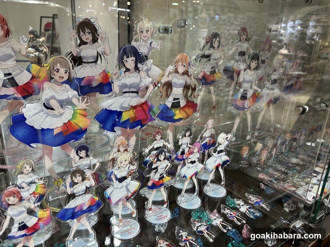 Anime Merchandise Display Case