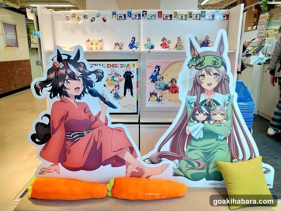 Anime Merchandise Display