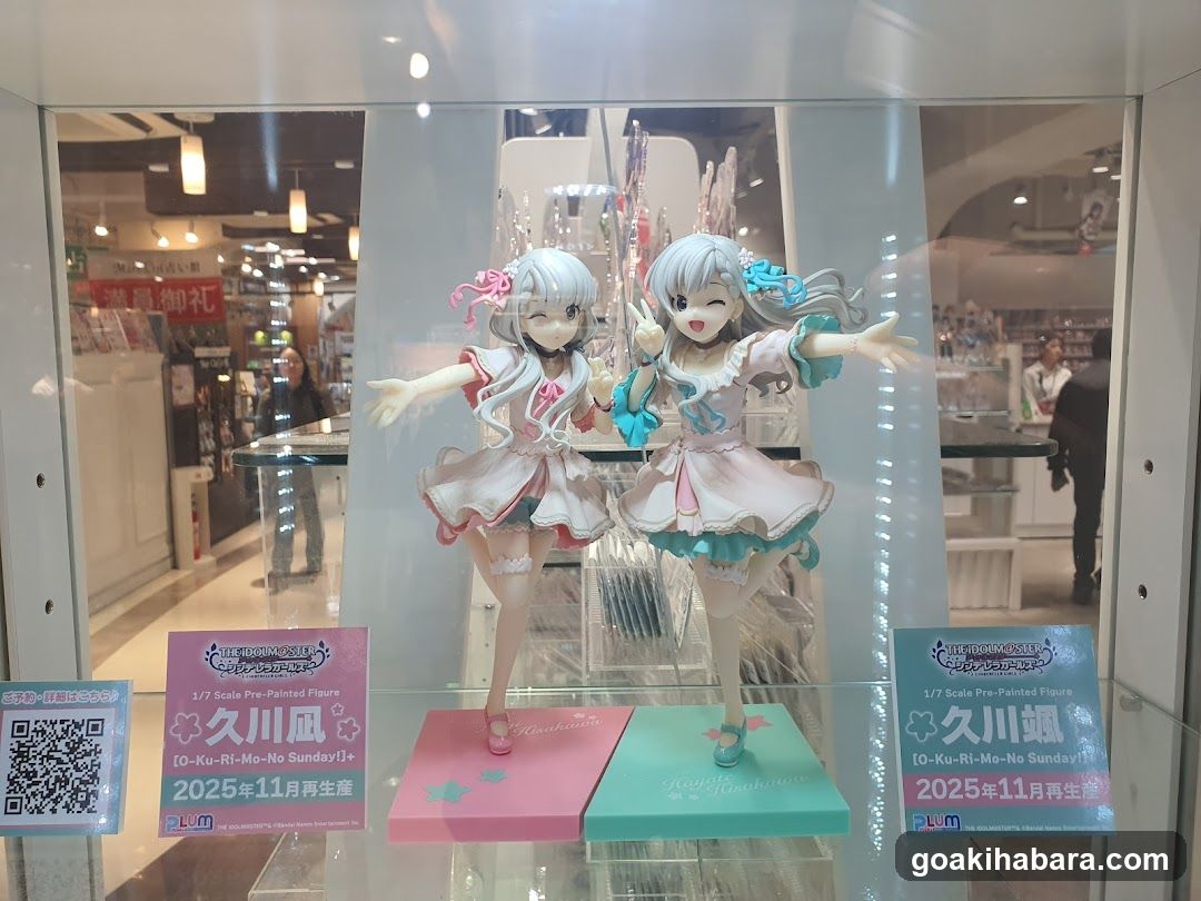 Figurine Display Case