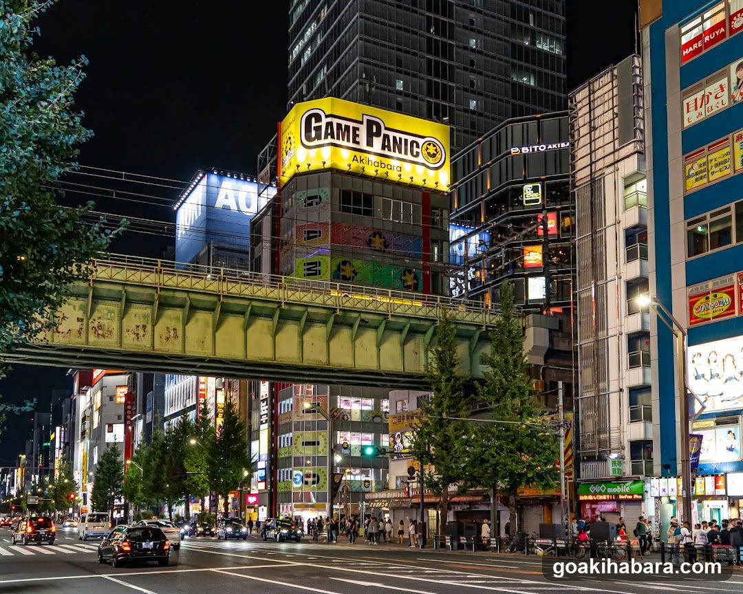 Akihabara Night Scene