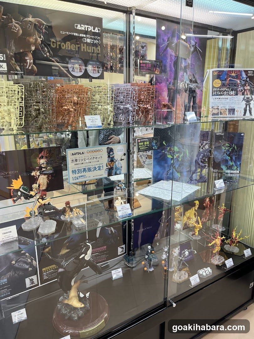 Model Kit and Figure Display Case