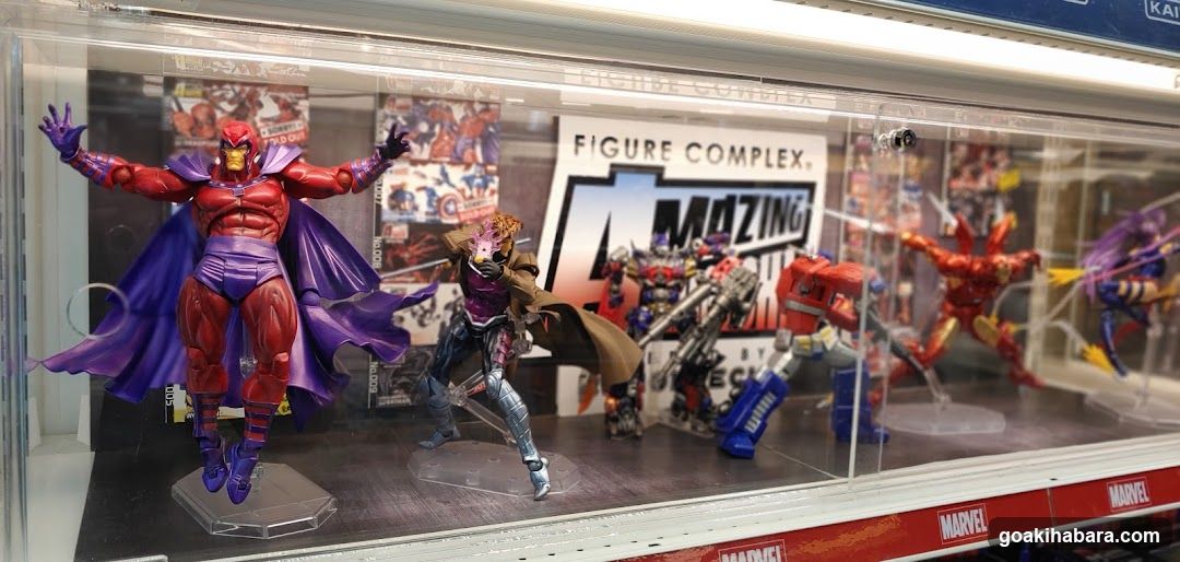 Figure Complex Display Case