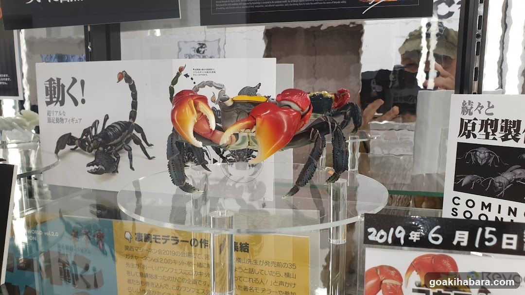 Collectible Figure Display