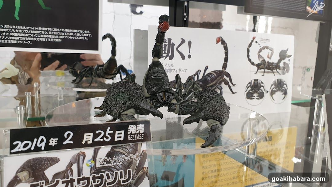 Scorpion Figure Display
