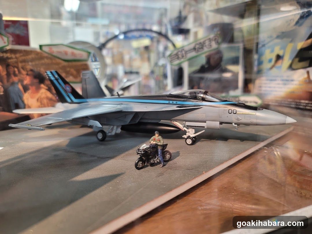 Model Display Case