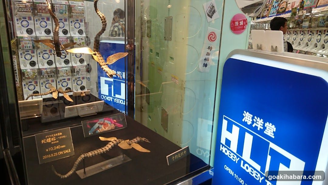 Hobby Lobby Display Case