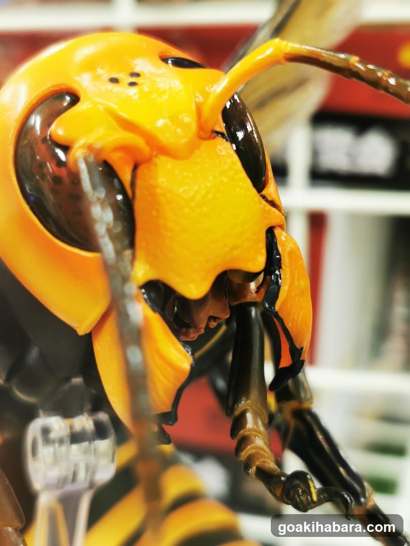 Wasp Figure Close-Up