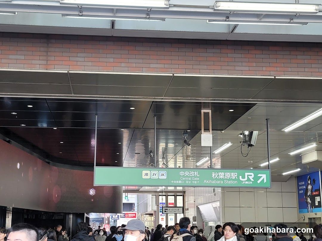 Akihabara Station Interior