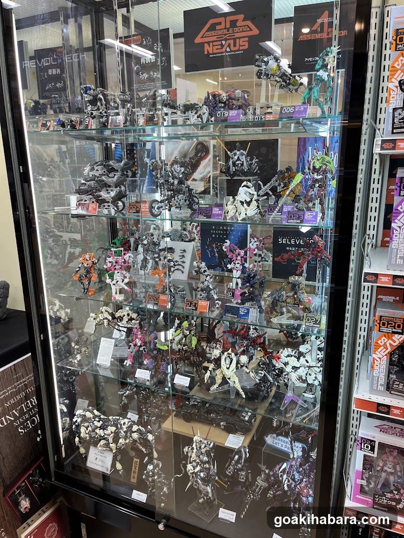Model Display Case