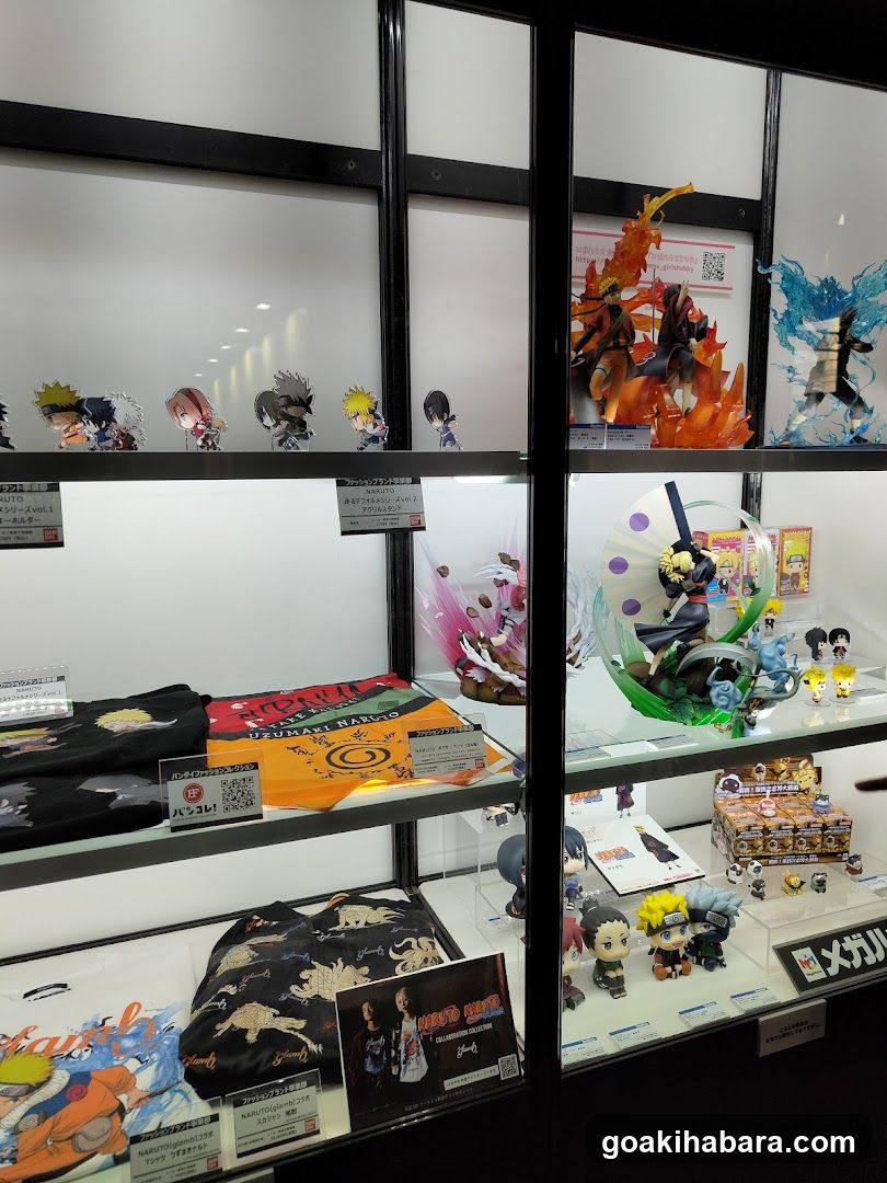 Anime Merchandise Display Case