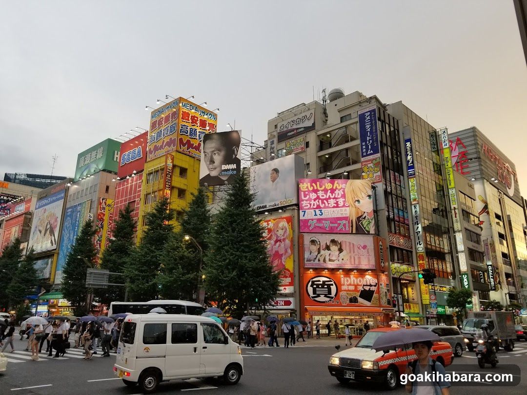 Shinjuku Crossing, Tokyo