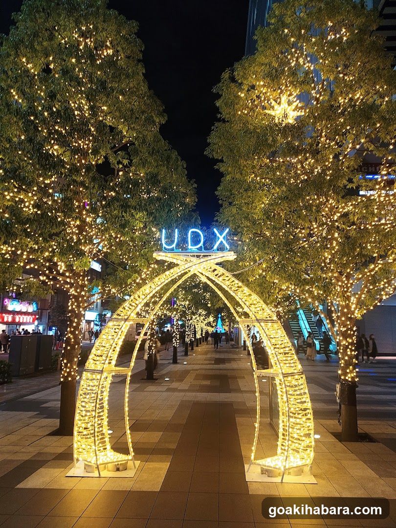 UDX Street Lights at Night