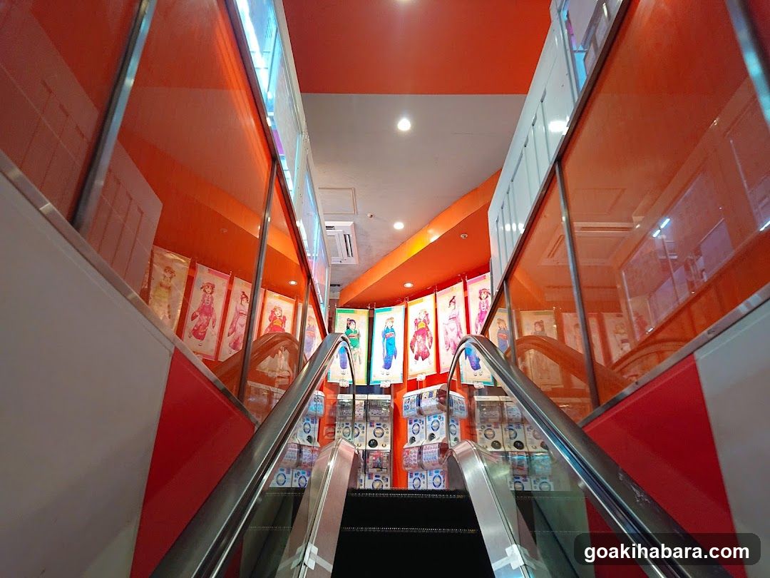 Interior Staircase with Merchandise Display