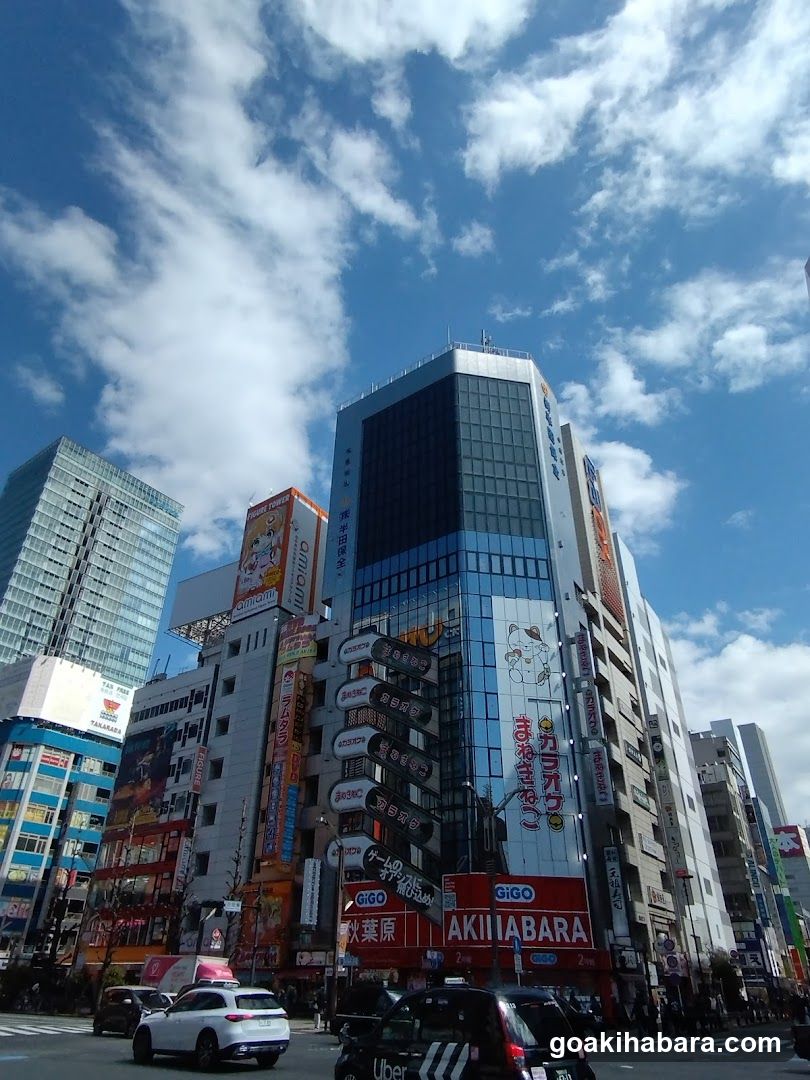 Akihabara Street Scene