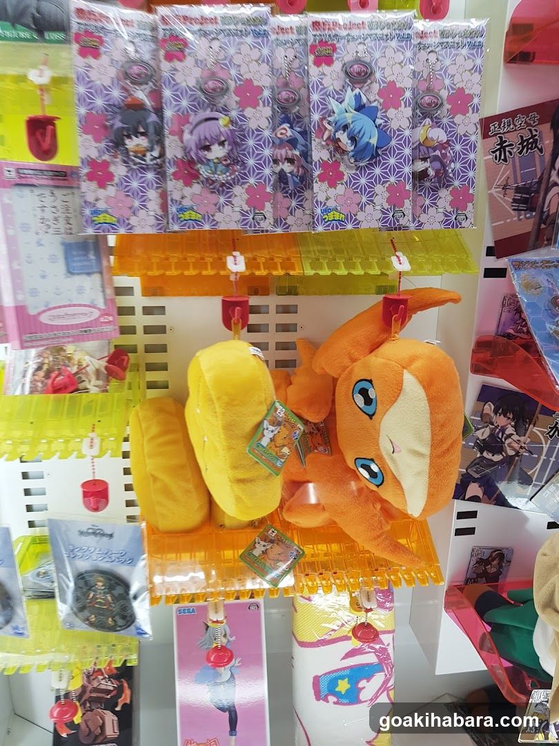 Anime Merchandise Display