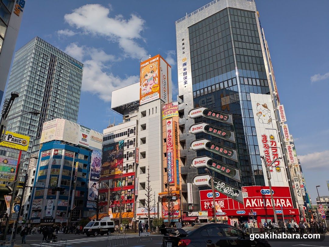 Akihabara Street Scene