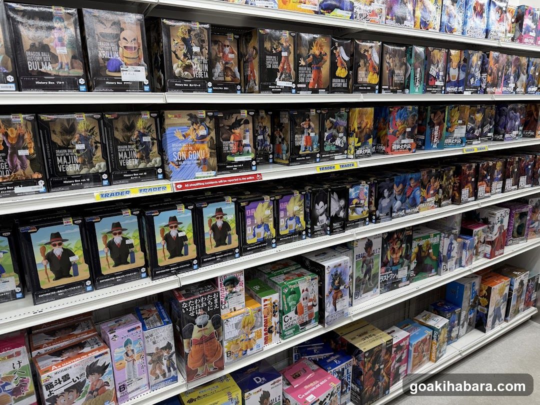 Dragon Ball Z Action Figure Display
