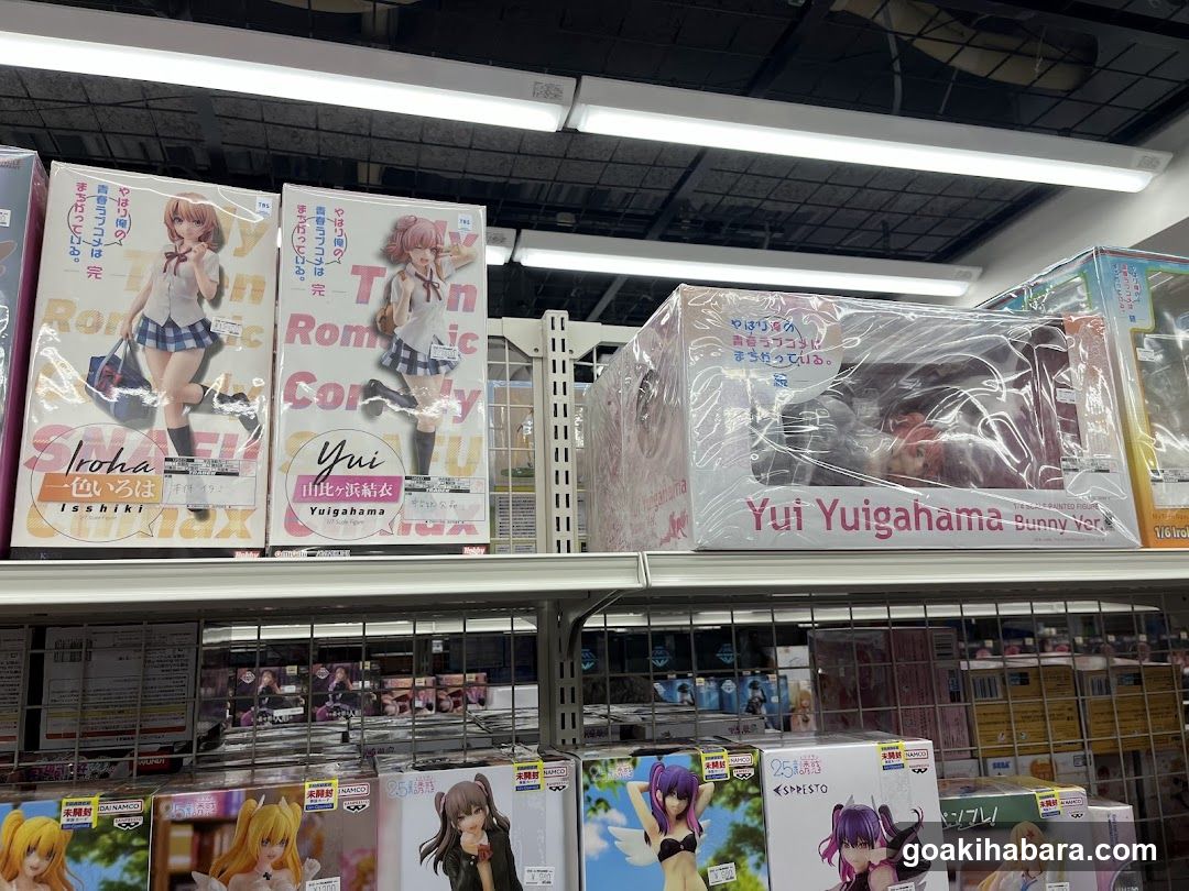 Anime Merchandise Shelf