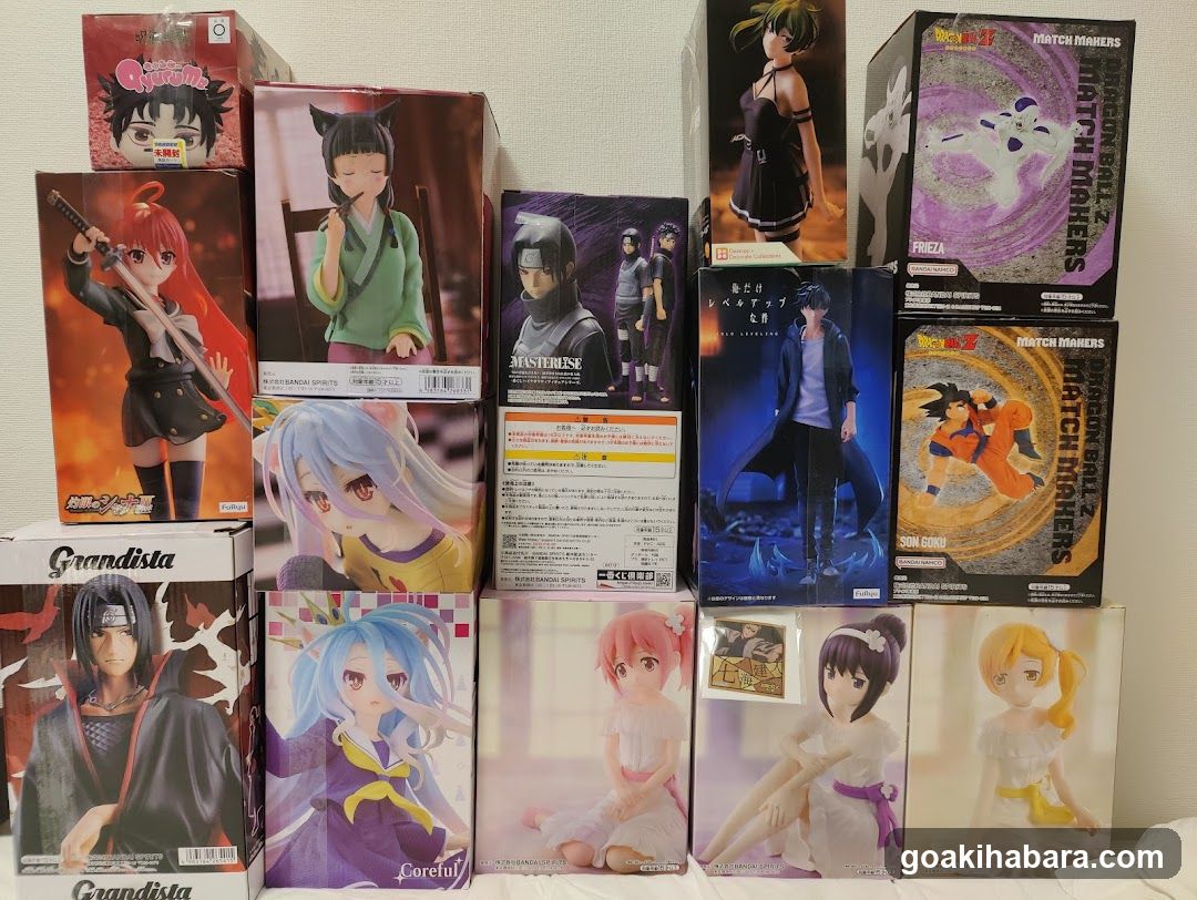 Anime Figure Collection Display