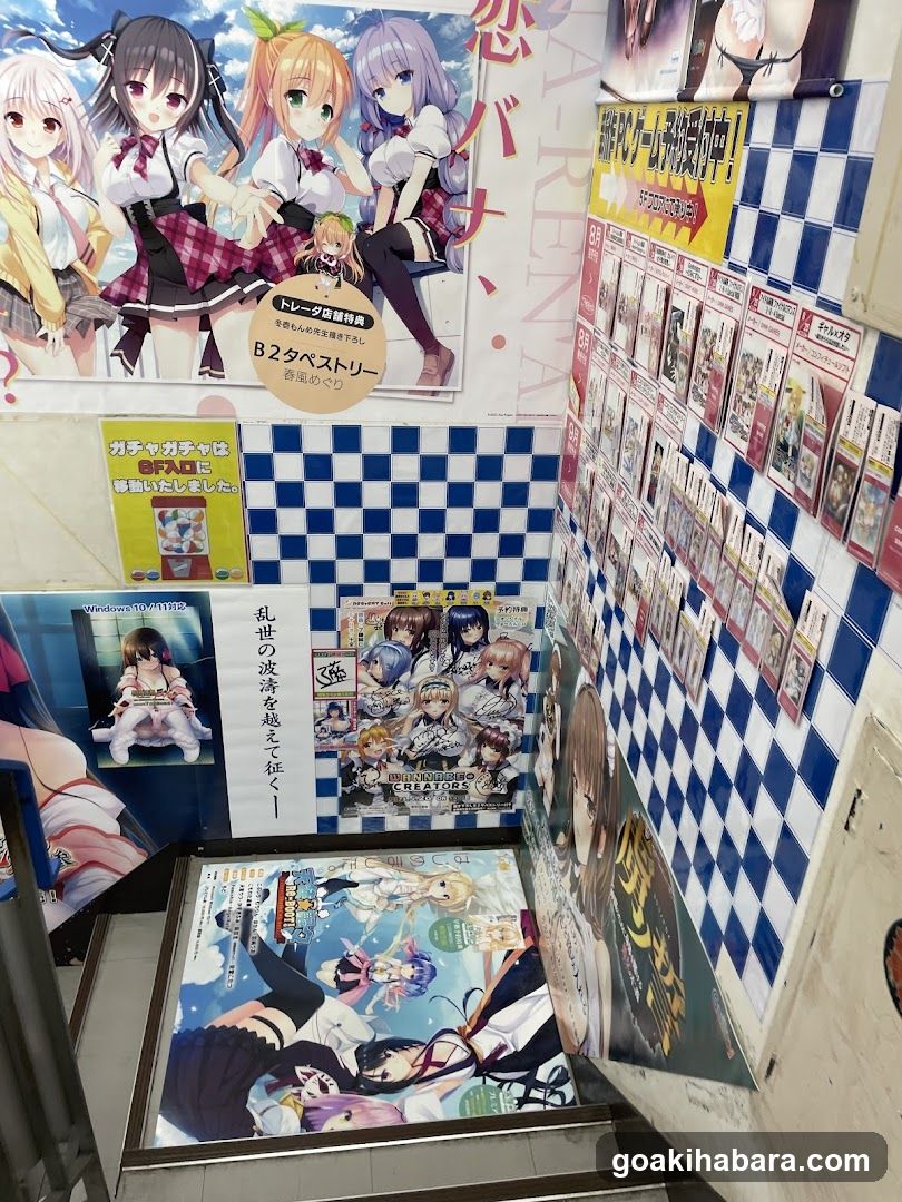 Anime and Game Merchandise Display