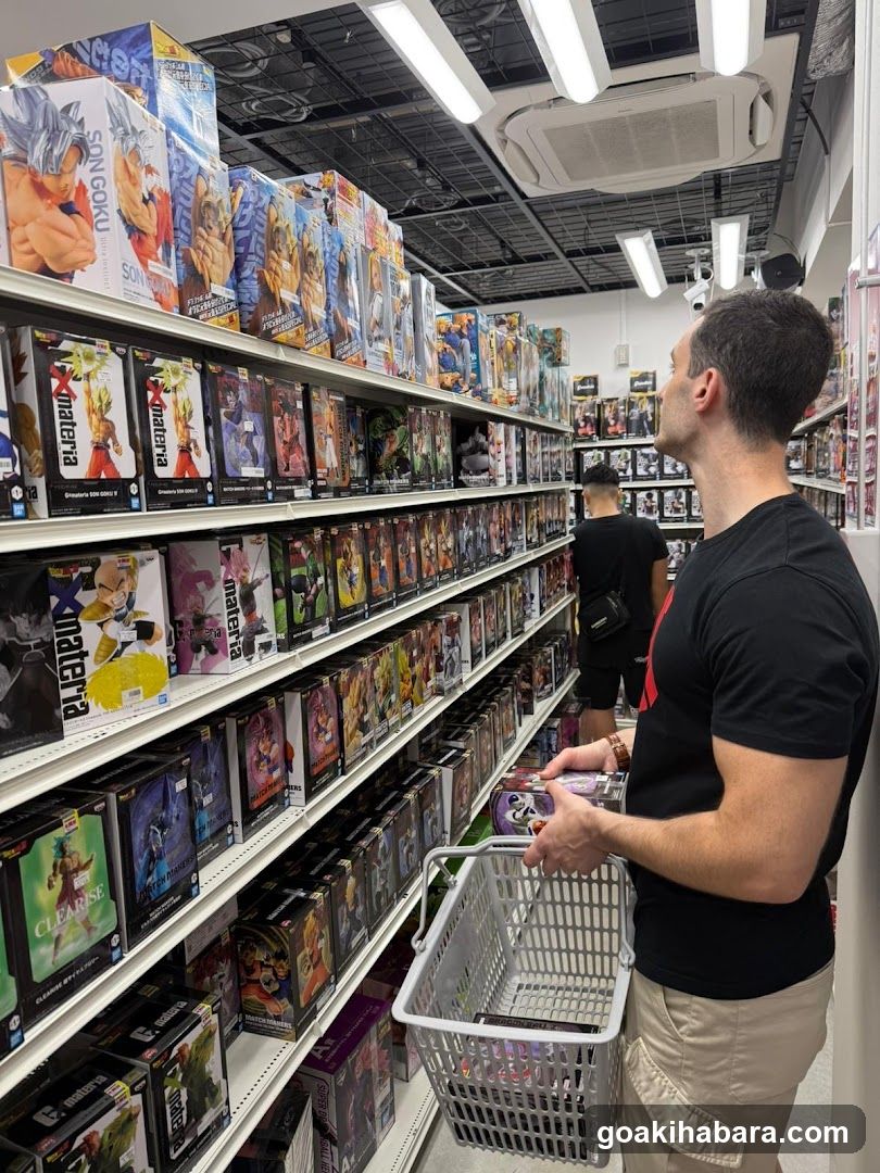 Anime Action Figure Store Interior