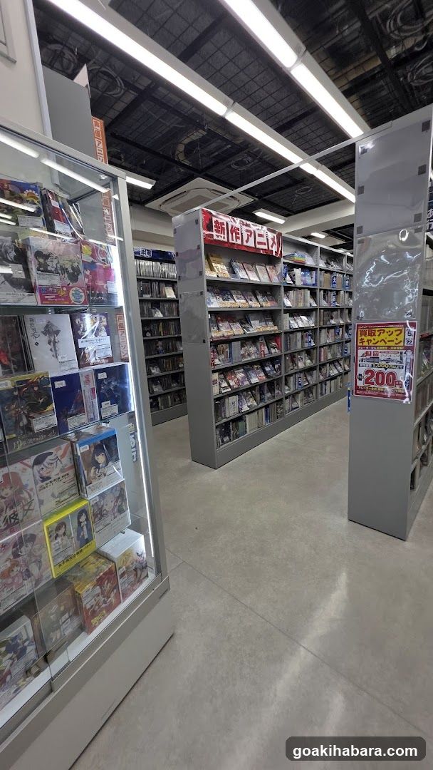 Anime Store Interior