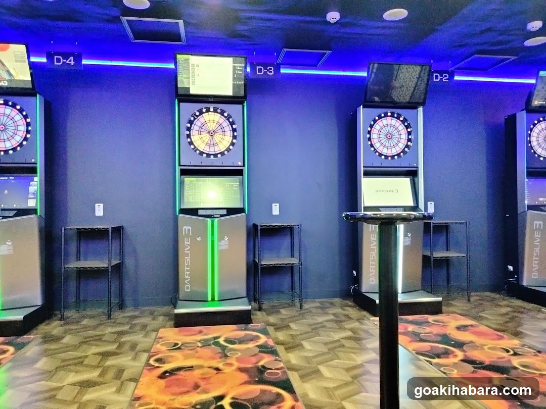 Dart Game Room Interior