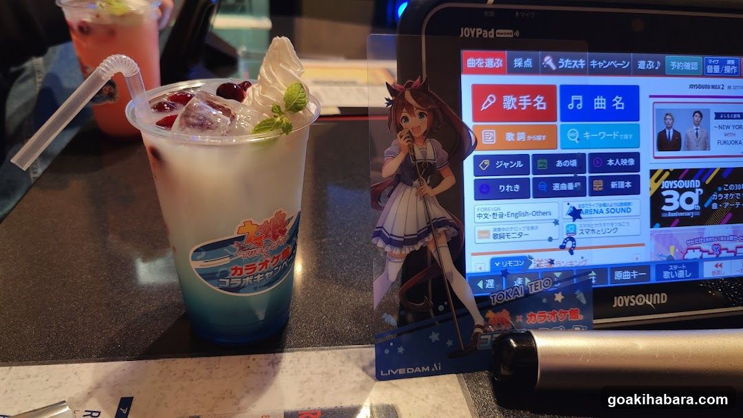 Karaoke Machine and Drink