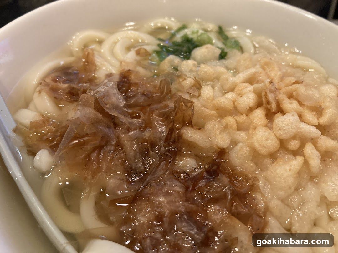 Udon Noodle Bowl with Toppings