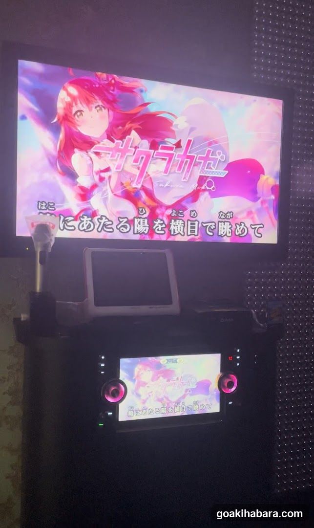 Karaoke Room Interior