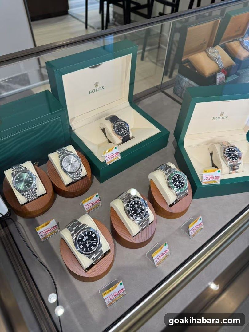 Rolex Watch Display Case
