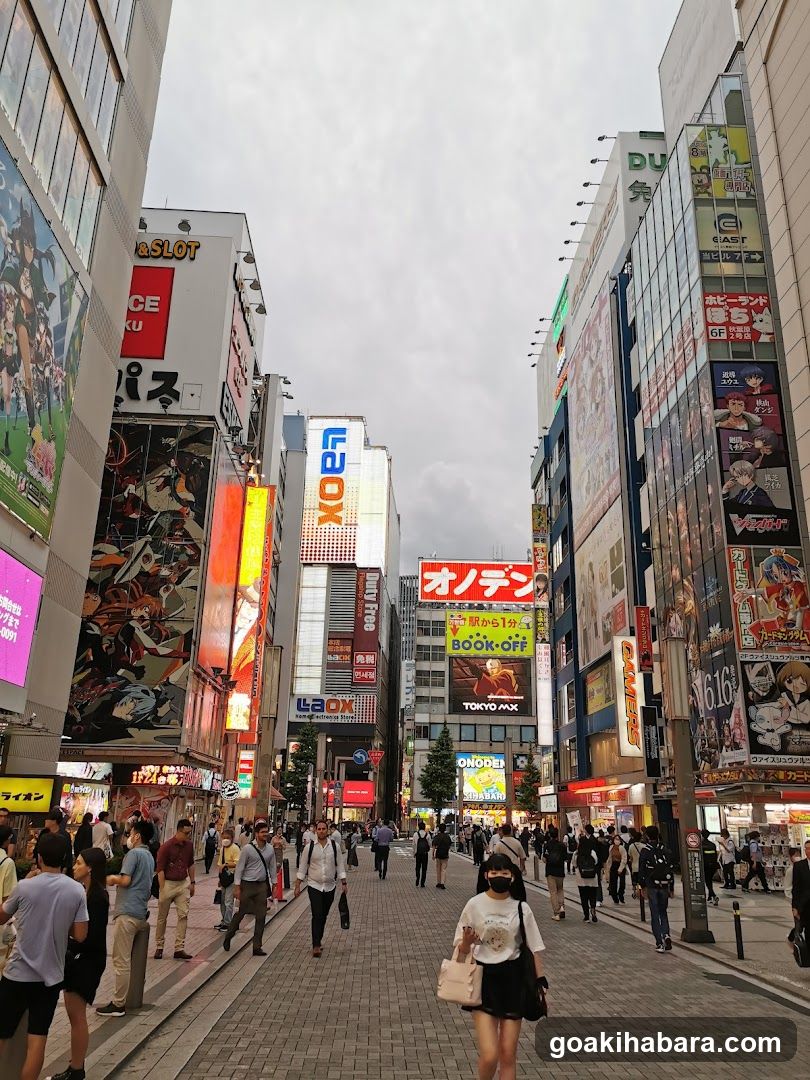 Shibuya Crossing Street Scene