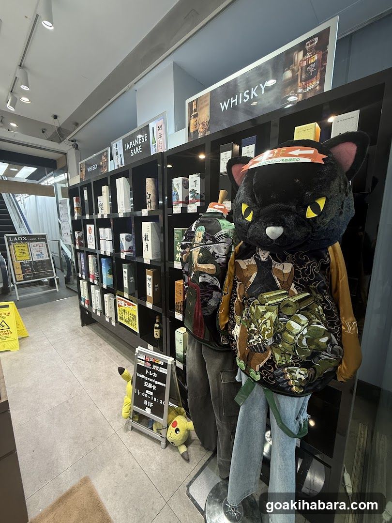 Store Interior Display