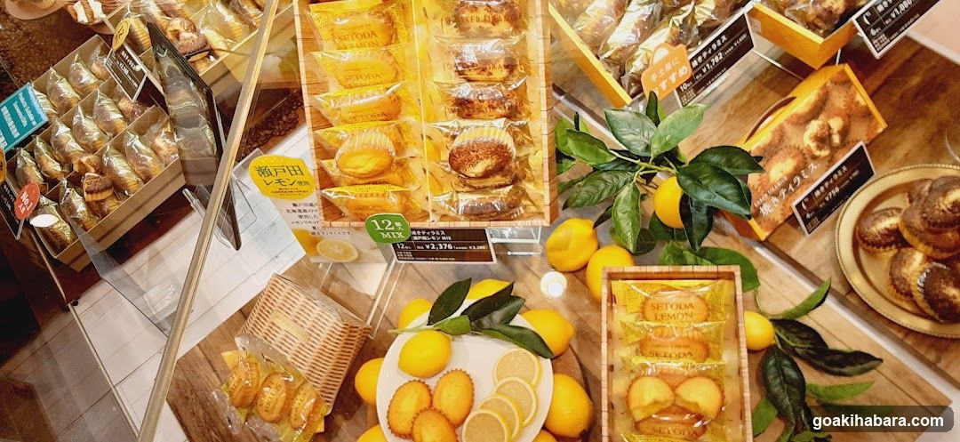 Bakery Display Case