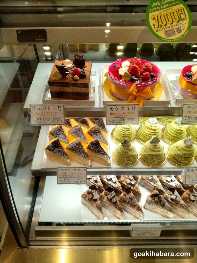Cake Display Case