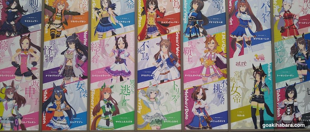 Anime Character Posters Display