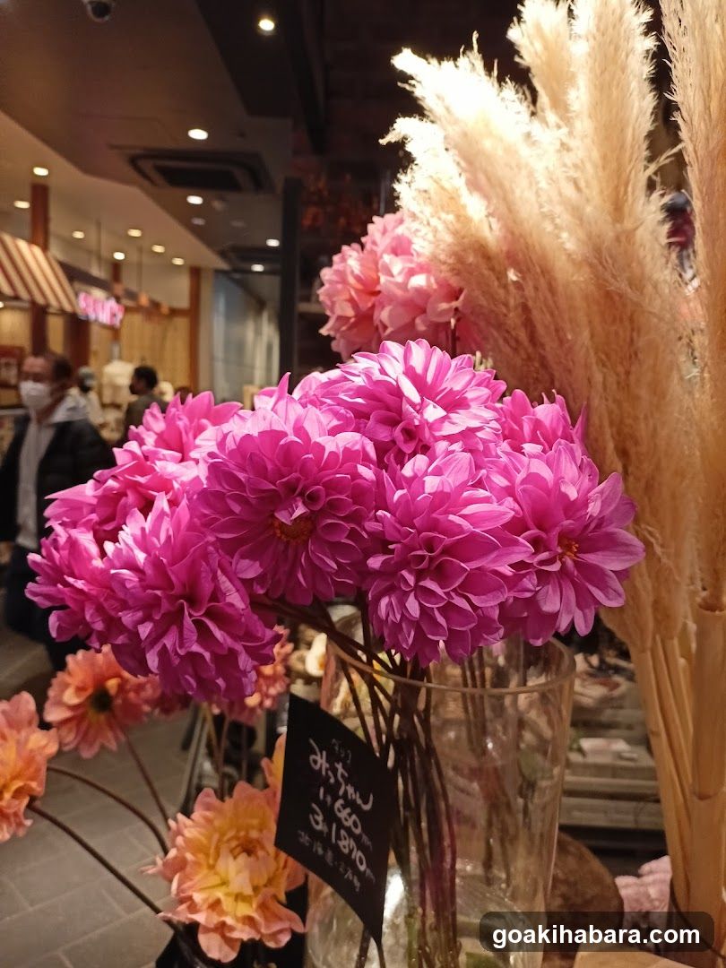 Flower Shop Interior Display