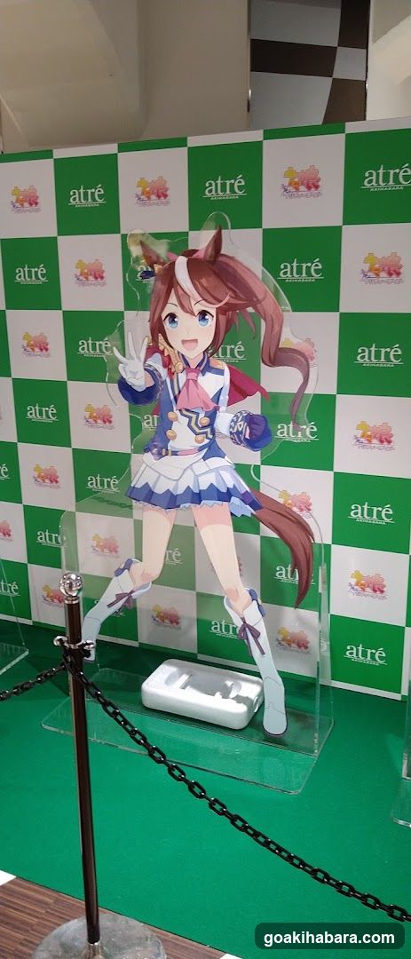 Anime Character Display