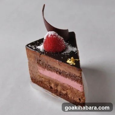 Chocolate Raspberry Cake Slice