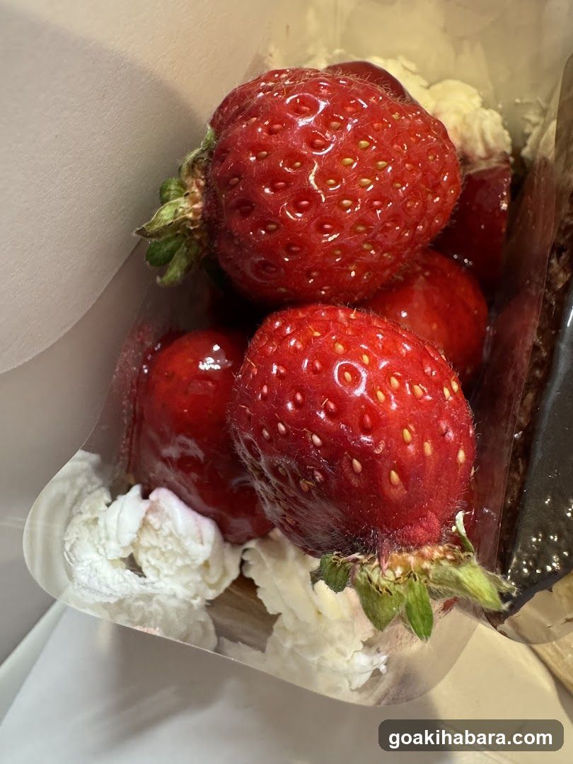 Strawberry Dessert