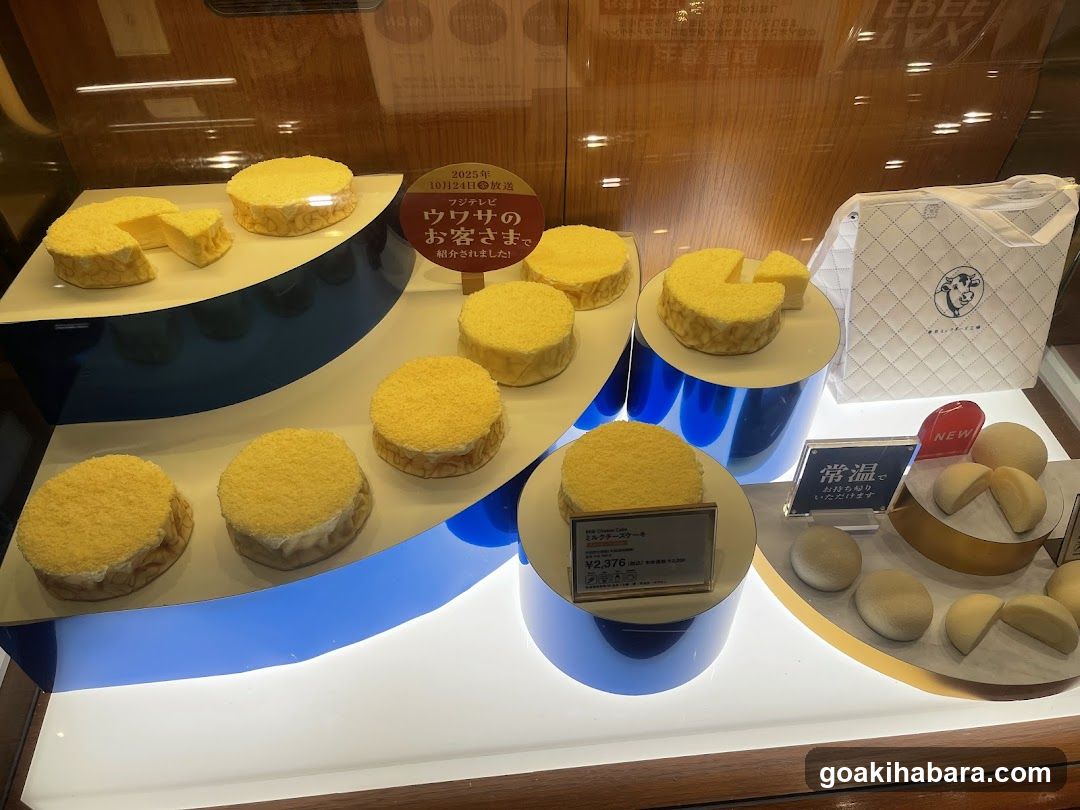 Cake Display Case
