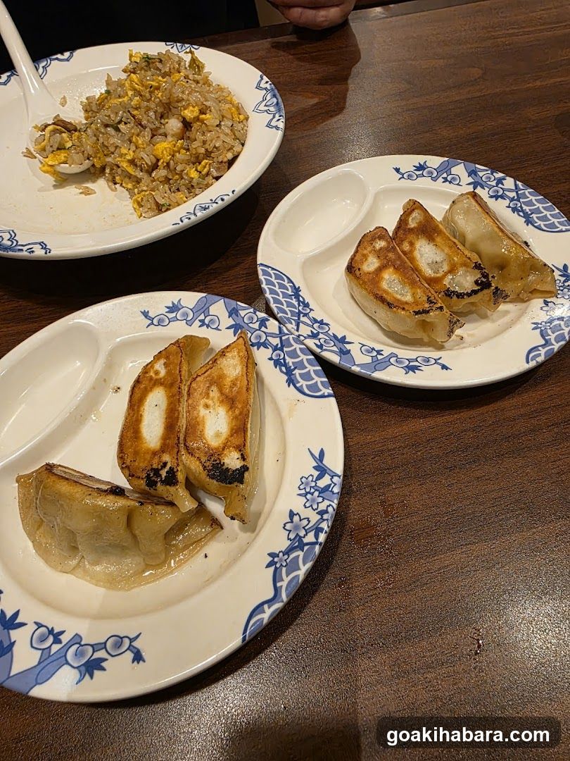 Dish of fried rice and gyoza dumplings