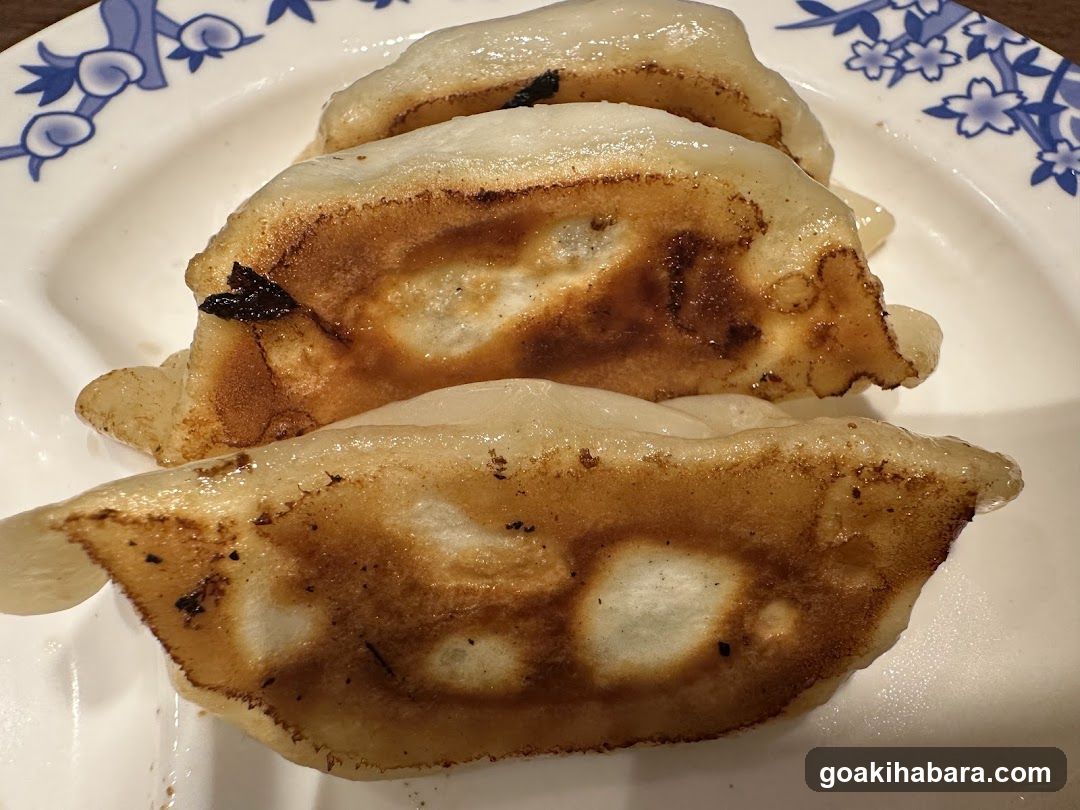 Pan-fried Dumplings on a Plate