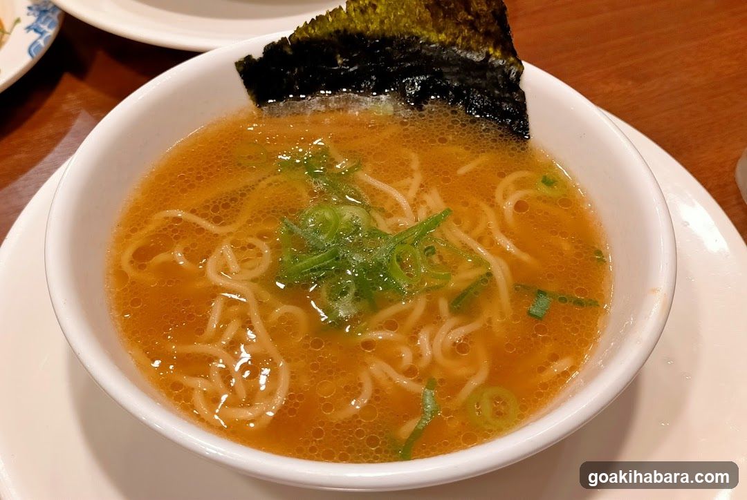 Ramen Bowl with Nori and Green Onions
