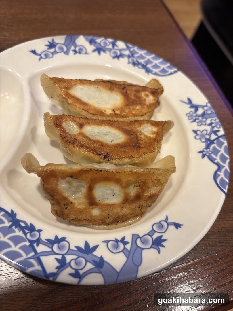 Gyoza on a decorative plate