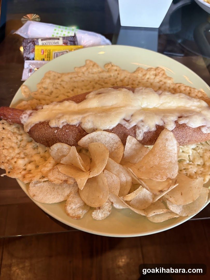 Loaded Hot Dog with Chips and Crisps