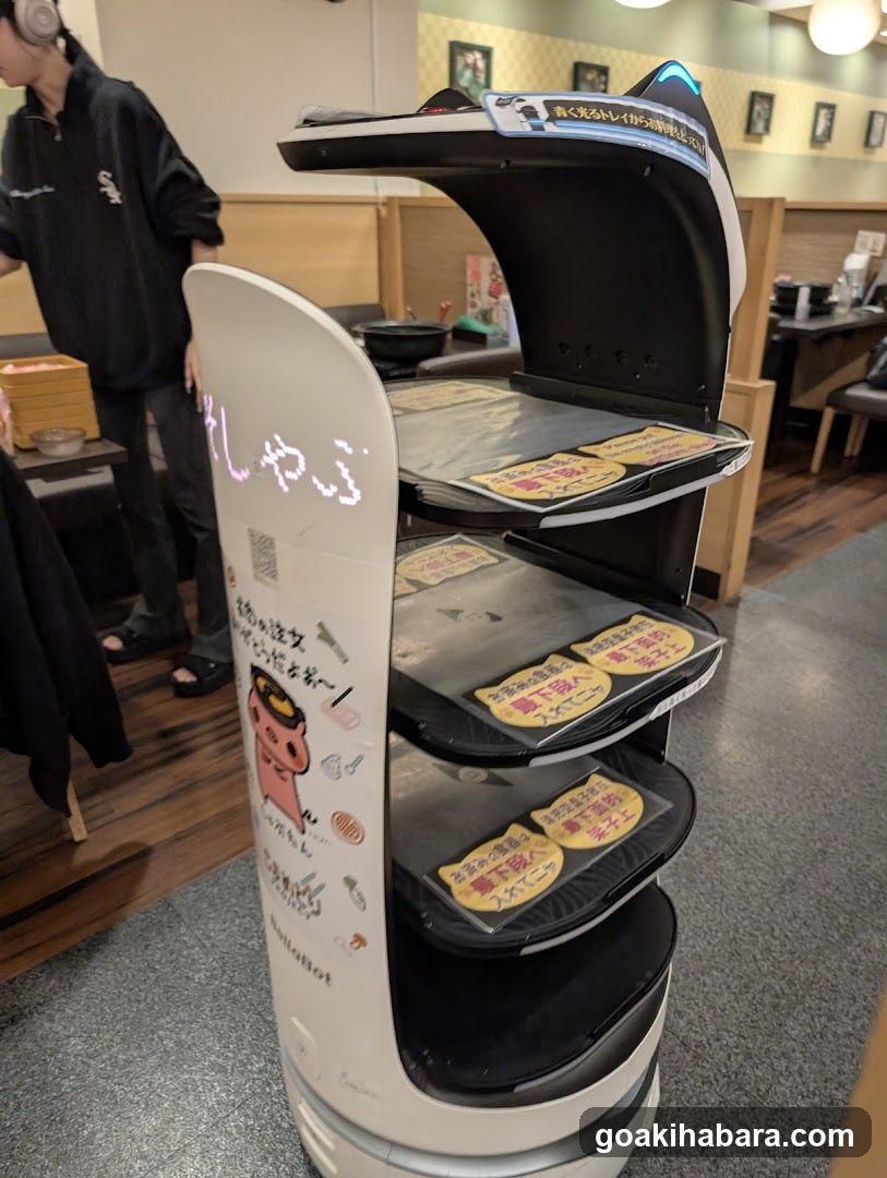 Service Robot in Restaurant Interior