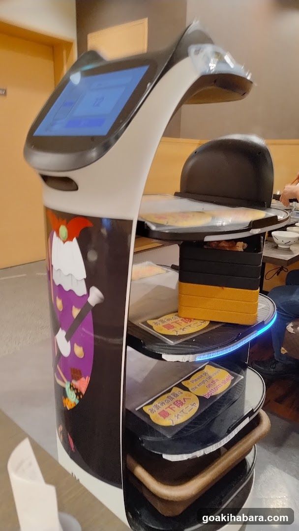 Service Robot in Restaurant